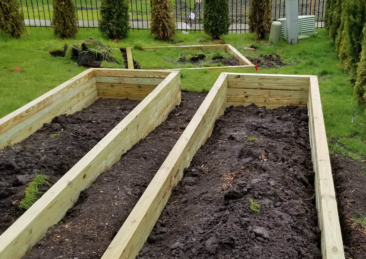 Beautiful Raised Bed Garden. Pressure-Treated Wood and Eco ...